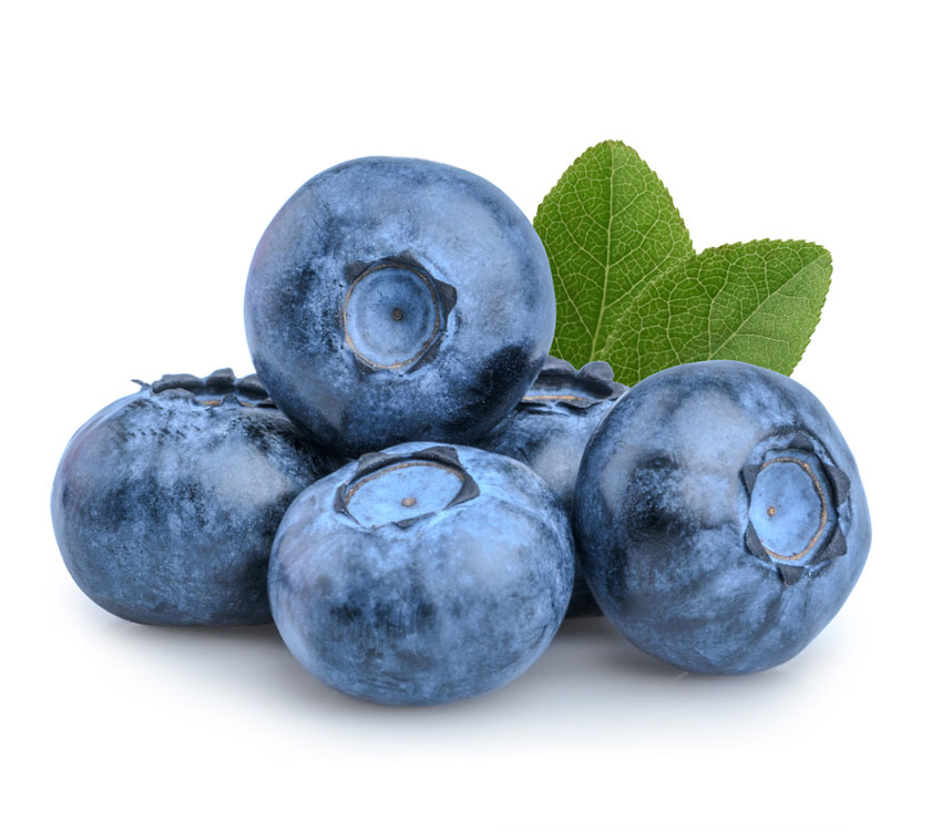 نهال بلوبری امرالد